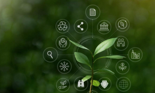 埃尔维认证详解ISO14001环境管理体系认证